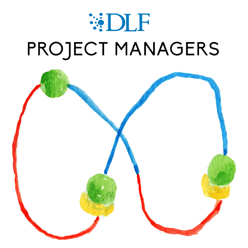 DLF Project Managers